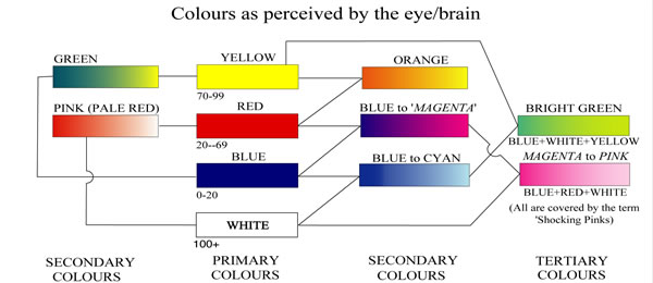 Colours as Perceived by the Eye and Brain